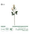 GloboStar® Artificial Garden CHAMPAGNE DAMASK CLIMBING ROSE BRANCH 21198 Τεχνητό Διακοσμητικό Κλαδί Τριαντάφυλλο Σαμπανιζέ Y55cm